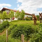 Mondarrain By Interhome Appartement Louhossoa