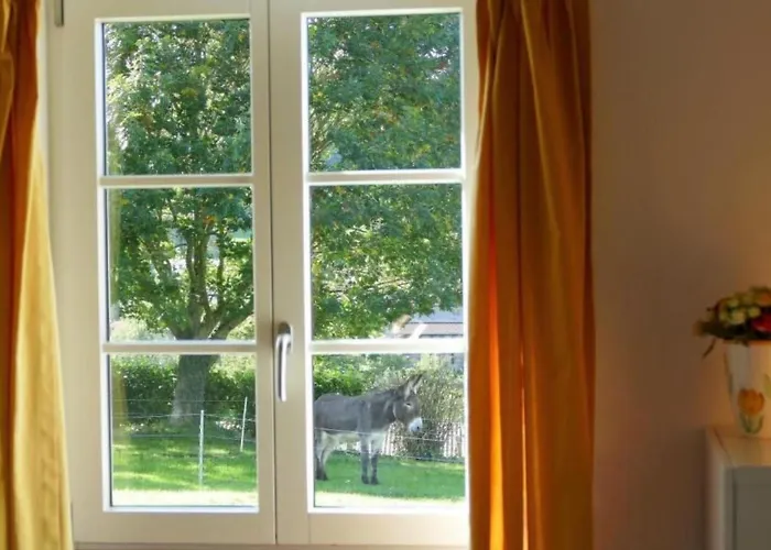 Appartement Mondarrain By Interhome *