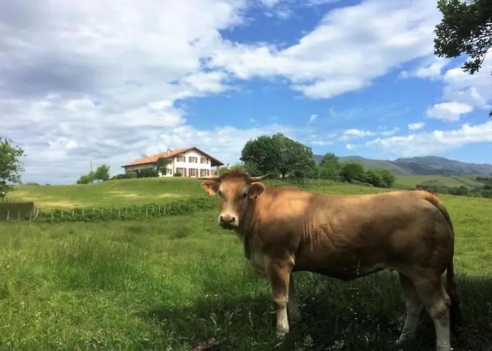 Lejlighed Mondarrain By Interhome