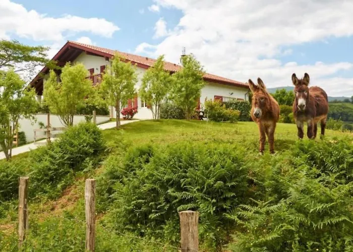 Mondarrain By Interhome Appartement Louhossoa