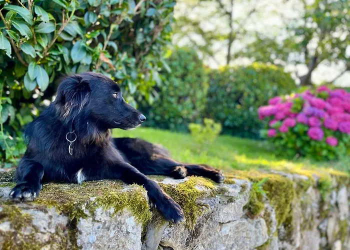 Appartement Mondarrain By Interhome *