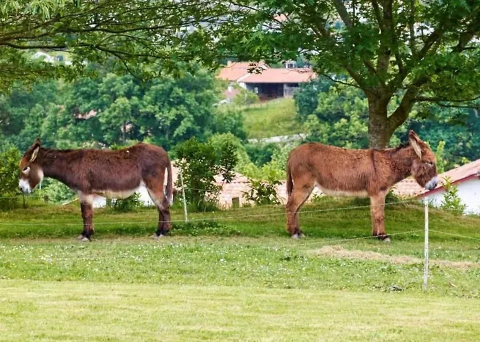 Mondarrain By Interhome Louhossoa