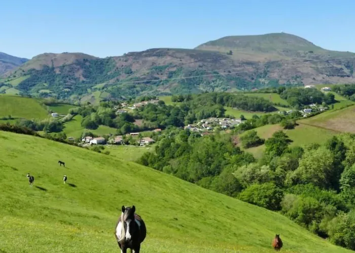 Mondarrain By Interhome Lejlighed Louhossoa